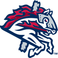 Binghamton Rumble Ponies logo