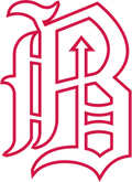 Birmingham Barons logo