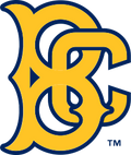 Brooklyn Cyclones logo