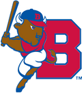 Buffalo Bisons logo