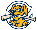 Charleston RiverDogs logo