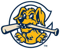 Charleston RiverDogs