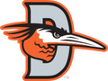 Delmarva Shorebirds logo