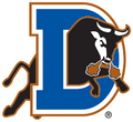 Durham Bulls logo