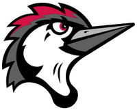 Fayetteville Woodpeckers