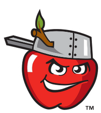 Fort Wayne TinCaps