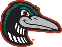 Great Lakes Loons