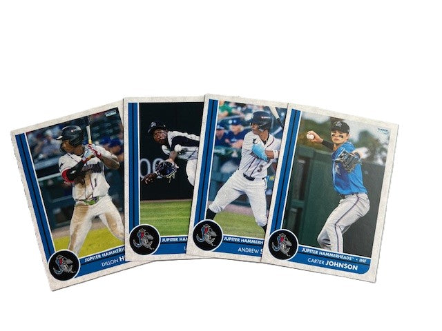 2025 Jupiter Hammerheads Team Set