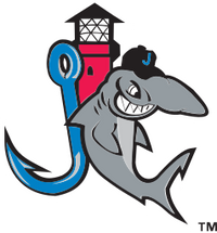 Jupiter Hammerheads