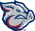Lehigh Valley IronPigs logo