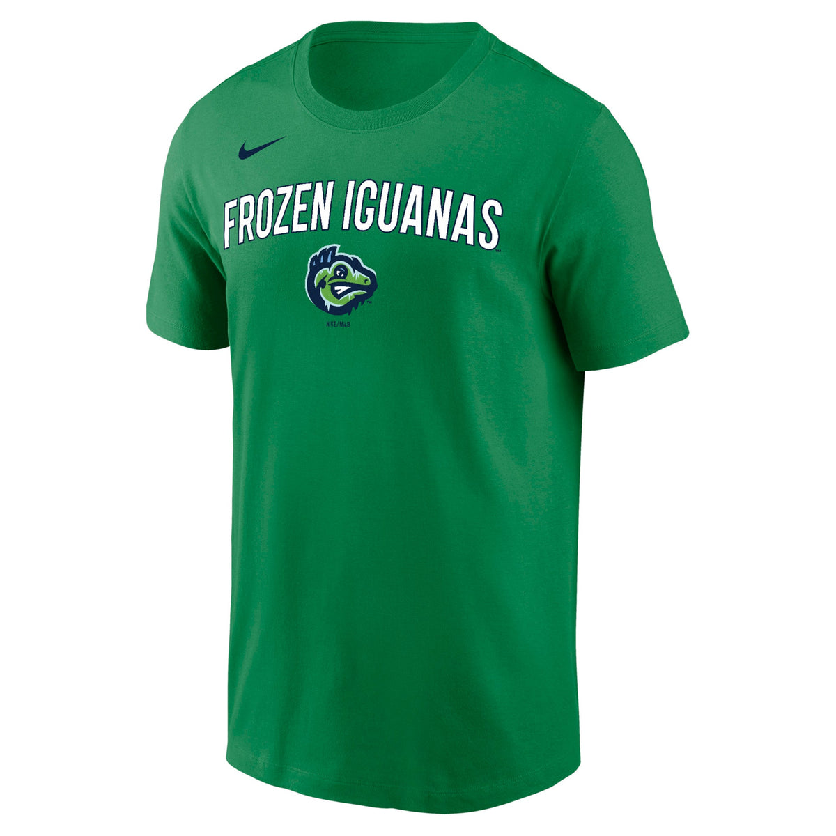 Nike Dri-Fit Cotton Tee