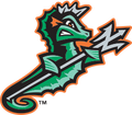 Norfolk Tides logo