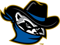 Quad Cities River Bandits