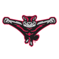 Richmond Flying Squirrels logo