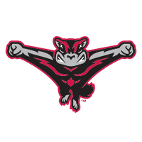 Richmond Flying Squirrels