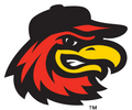 Rochester Red Wings logo