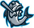 Tampa Tarpons logo