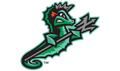 Norfolk Tides logo