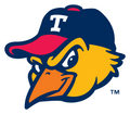 Toledo Mud Hens logo