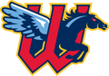 Wichita Wind Surge logo