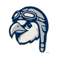 Wilson Warbirds logo
