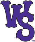 Winston-Salem Dash logo