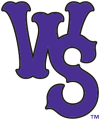 Winston-Salem Dash