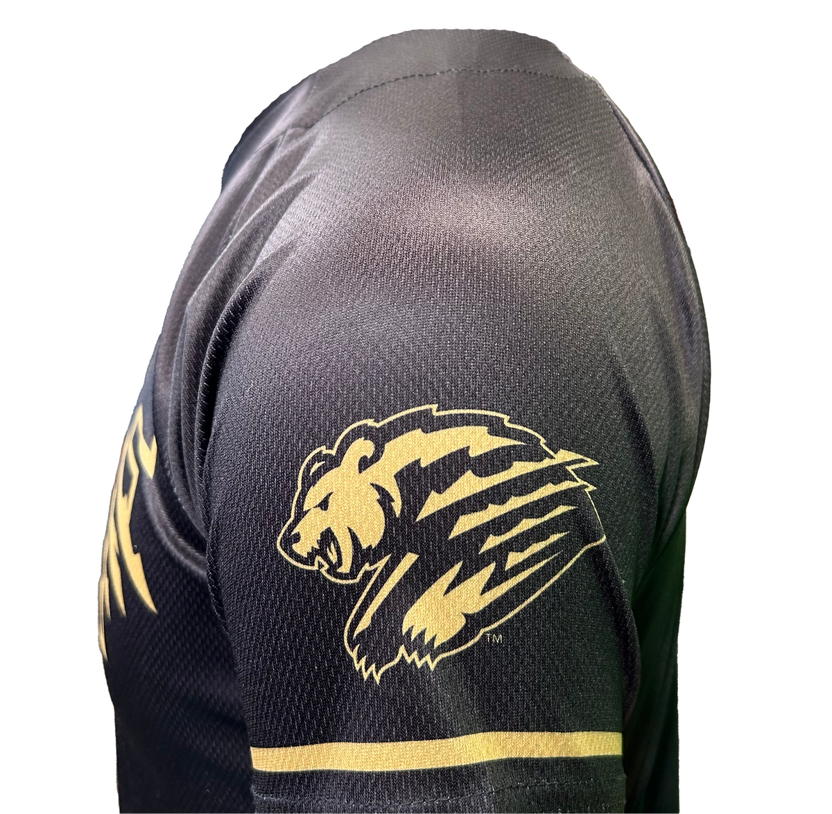 Fresno Grizzlies Youth Sublimated Replica Black/Gold Alt Jersey